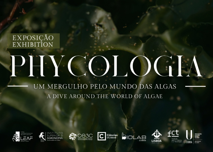 Finissage da exposição “Phycologia – Um mergulho pelo mundo das algas” 