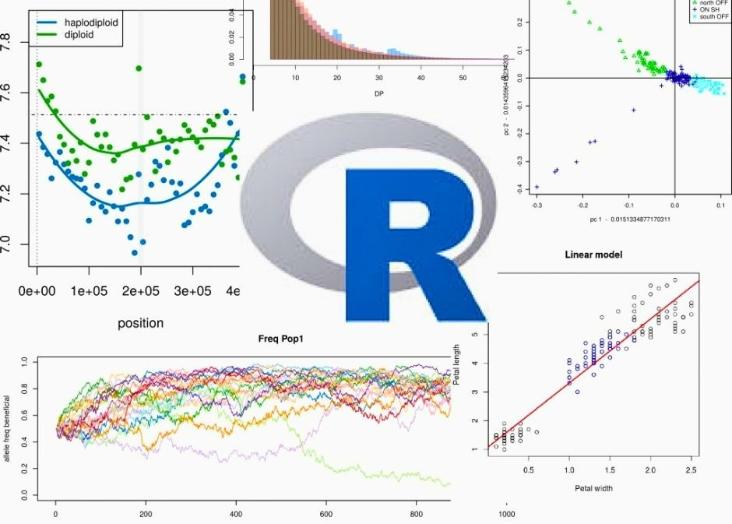 Advanced R for Ecology and Evolutionary Biology 2025