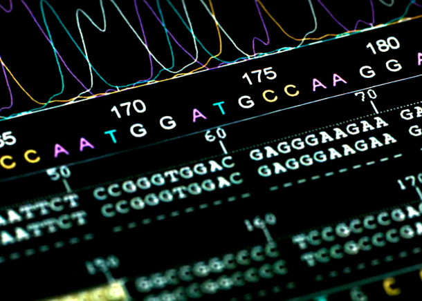 Computational Biology and Population Genomics