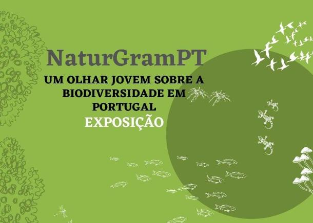Exposição de fotografia NaturGramPT é inaugurada no Centro Comercial de Alvalade