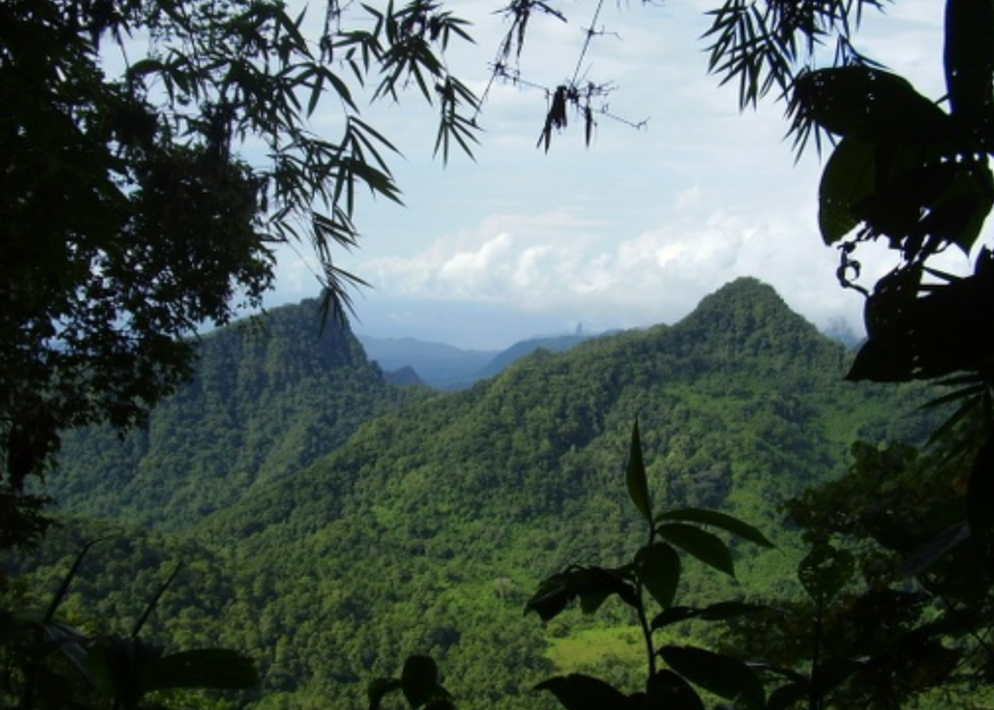 Biodiversidade das ilhas é melhor conservada em paisagens inacessíveis