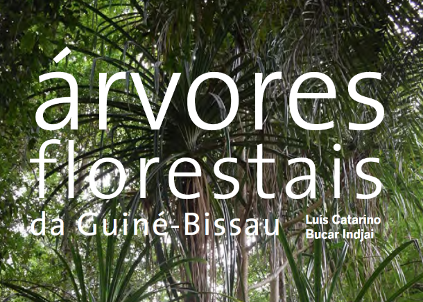 Árvore florestais da Guiné-Bissau
