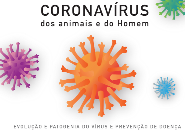Os coronavírus dos animais e do Homem