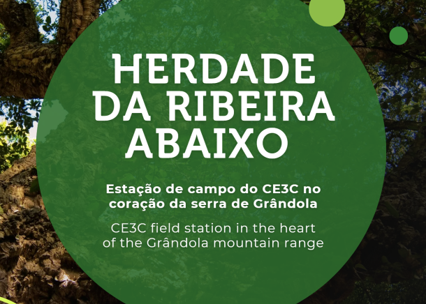 Herdade da Ribeira Abaixo - Estação de campo do CE3C no coração da serra de Grândola Herdade da Ribeira Abaixo - Estação de campo do CE3C no coração da serra de Grândola