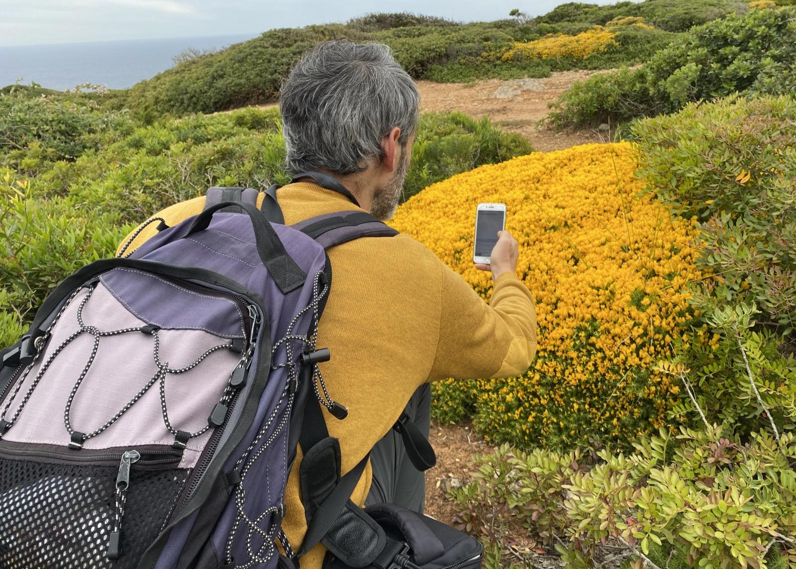 Combater a Extinção Social das Plantas e da Botânica de Telemóvel na Mão