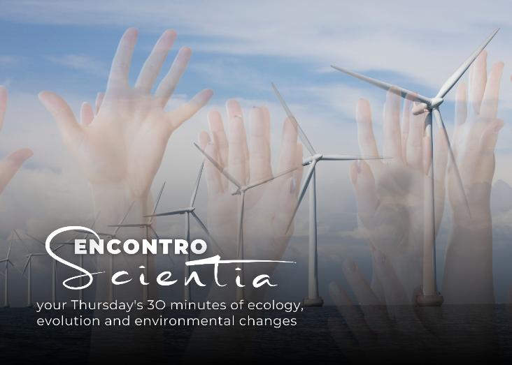 Overview of participatory practices and social innovations in on and off-shore wind energy development