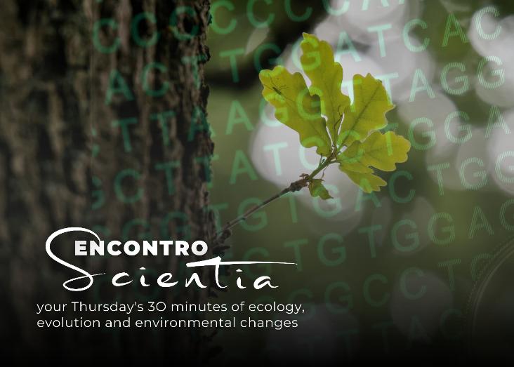 Forecasting species response to climate change using genomic prediction: advances and limitations. Examples from the Mediterranean Oaks