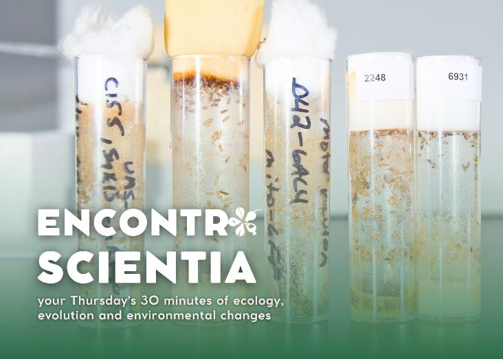 Evolution of gene expression under climate change in Drosophila subobscura