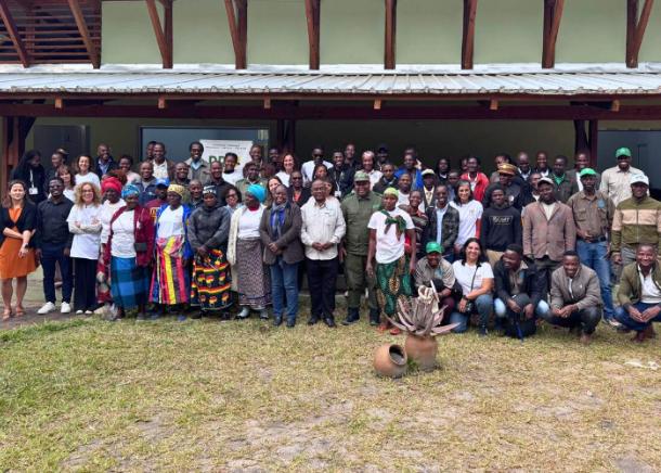 Mel e apicultura em Moçambique: novo projeto quer elevar recurso natural a exemplo de desenvolvimento sustentável Mel e apicultura em Moçambique: novo projeto quer elevar recurso natural a exemplo de desenvolvimento sustentável