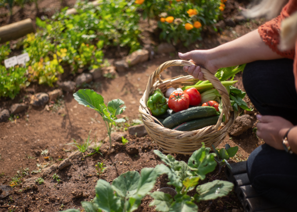 Rotas para a Sustentabilidade: CE3C-CIÊNCIAS e Turismo de Portugal promovem práticas alimentares sustentáveis em 17 municípios Rotas para a Sustentabilidade: CE3C-CIÊNCIAS e Turismo de Portugal promovem práticas alimentares sustentáveis em 17 municípios