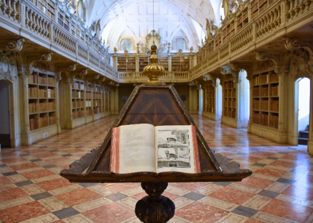 Ecos contra o tempo: a incrível história dos morcegos numa das mais belas bibliotecas do mundo Ecos contra o tempo: a incrível história dos morcegos numa das mais belas bibliotecas do mundo