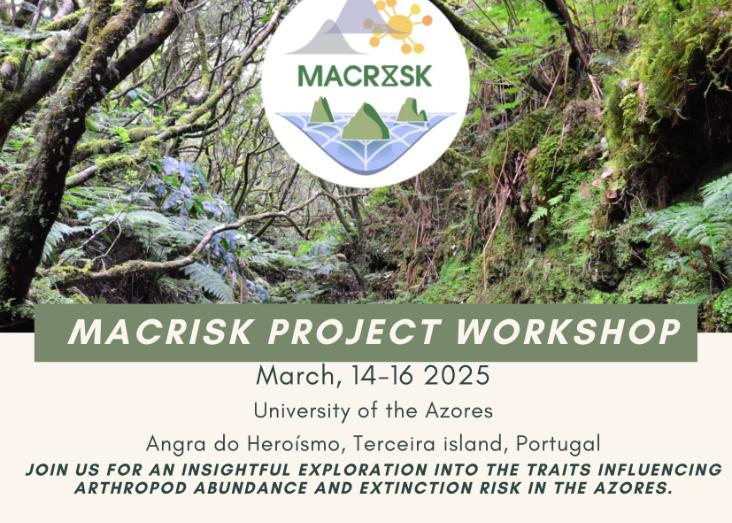 MACRISK Project Workshop