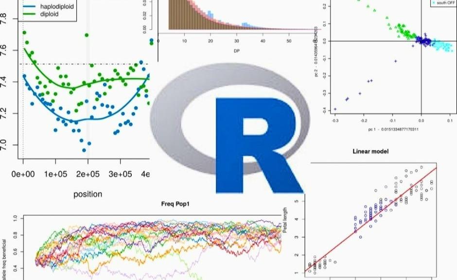 Advanced R for Ecology and Evolutionary Biology 2024/2025