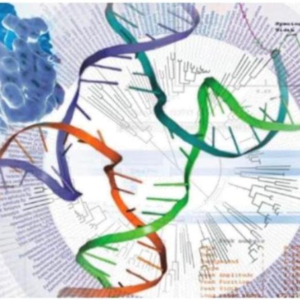 Bioinformatics analysis of biological sequences 22-23