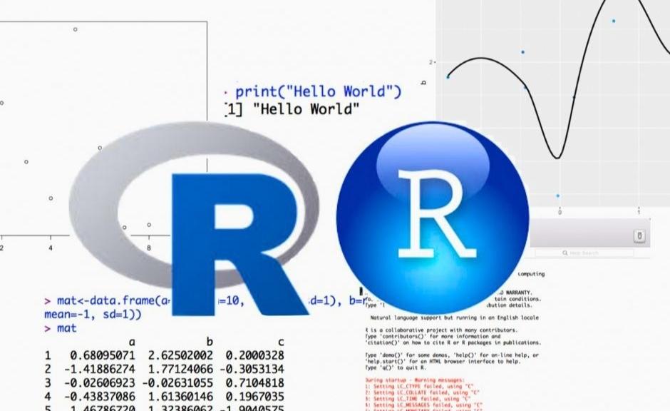 Introduction to R 2024/2025