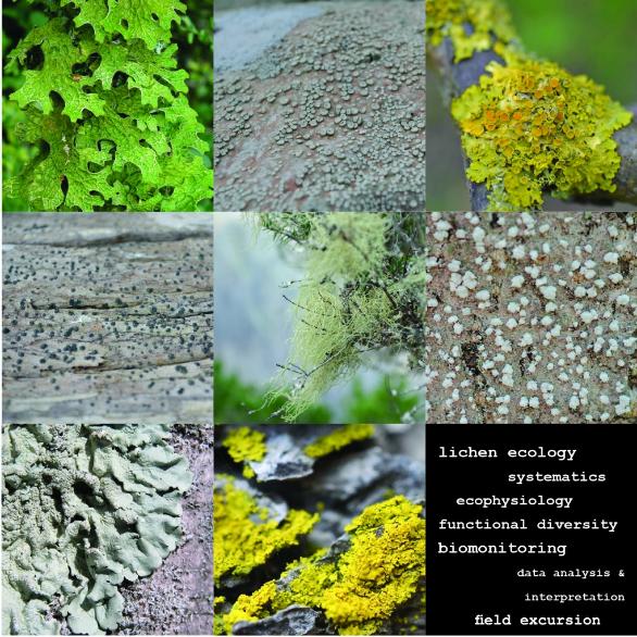 Lichens 19-20