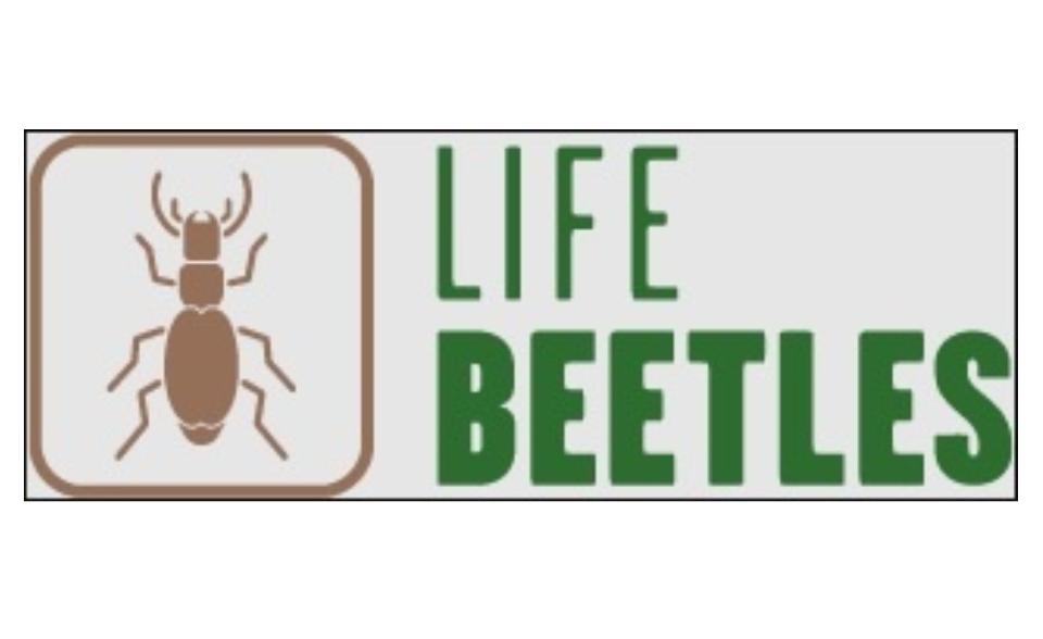 LIFE BEETLES