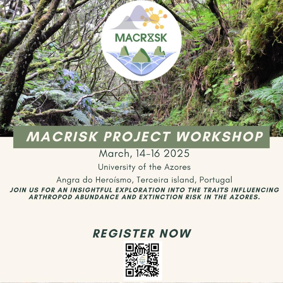 MACRISK Project Workshop 2025