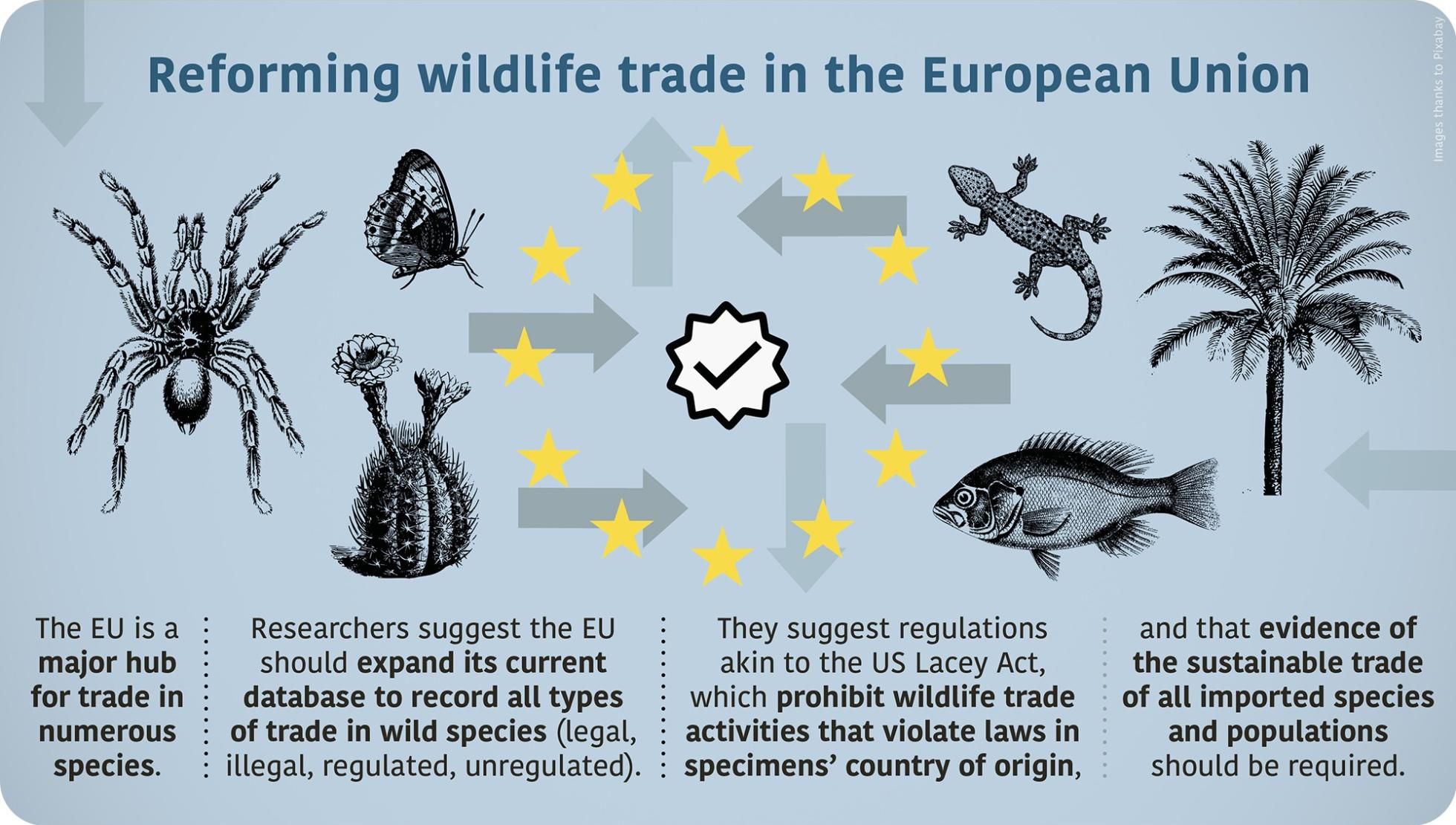 Reforming wildlife trade in the European Union