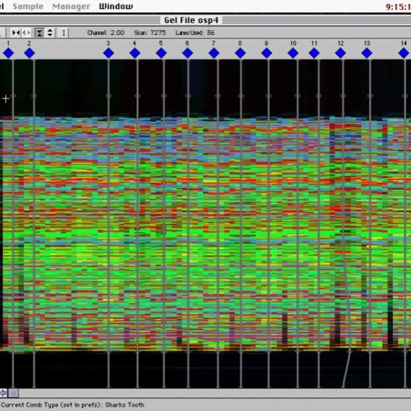 Practical Course on Phylogenetics 18-19